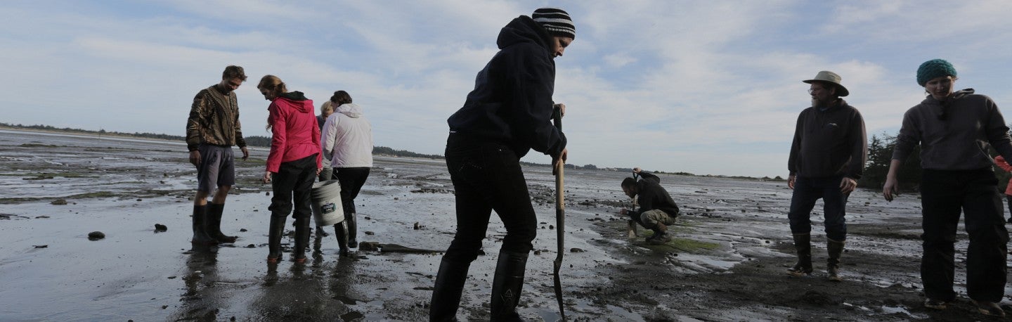 students dig on the beach