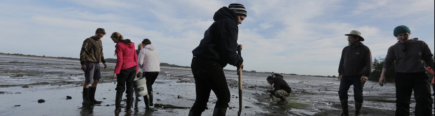 students dig on the beach